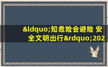 “知危险会避险 安全文明出行”2020年